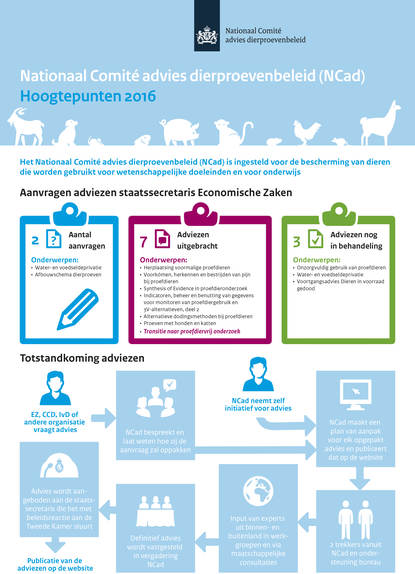 Infographic jaarverslag NCad 2016